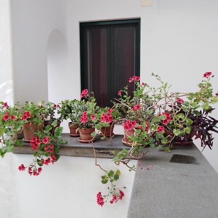 Casa De Angelis Orange & Blue Apartment Sant'Agnello Exterior photo